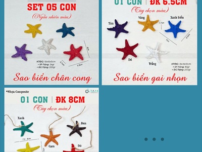 Sao biển mini trang trí đủ màu đủ kiểu [Composite - ĐK4-8cm] SAOBIEN-04